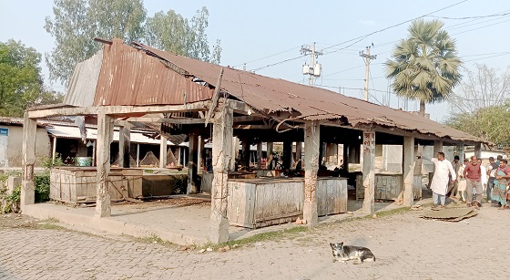 image-here